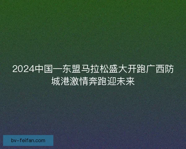 2024中国—东盟马拉松盛大开跑广西防城港激情奔跑迎未来